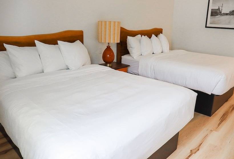 酒店 The Wildflower Inn