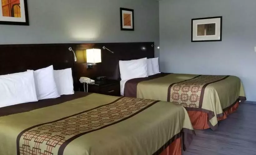 モーテル Stewart Lodge