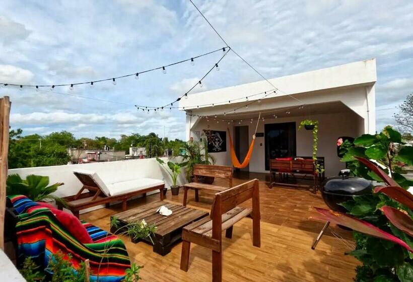 هاستل La Perle Noire   Auberge