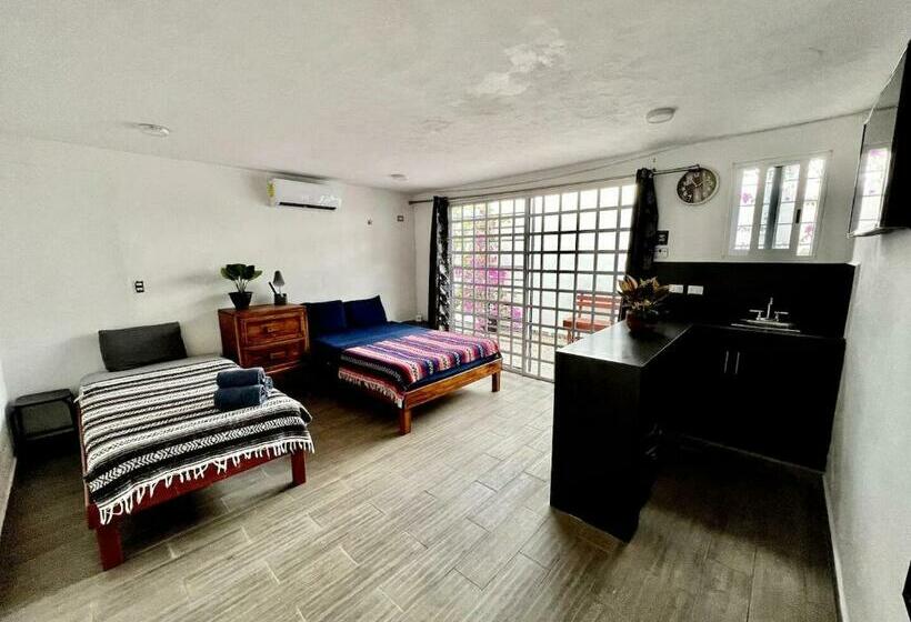 هاستل La Perle Noire   Auberge