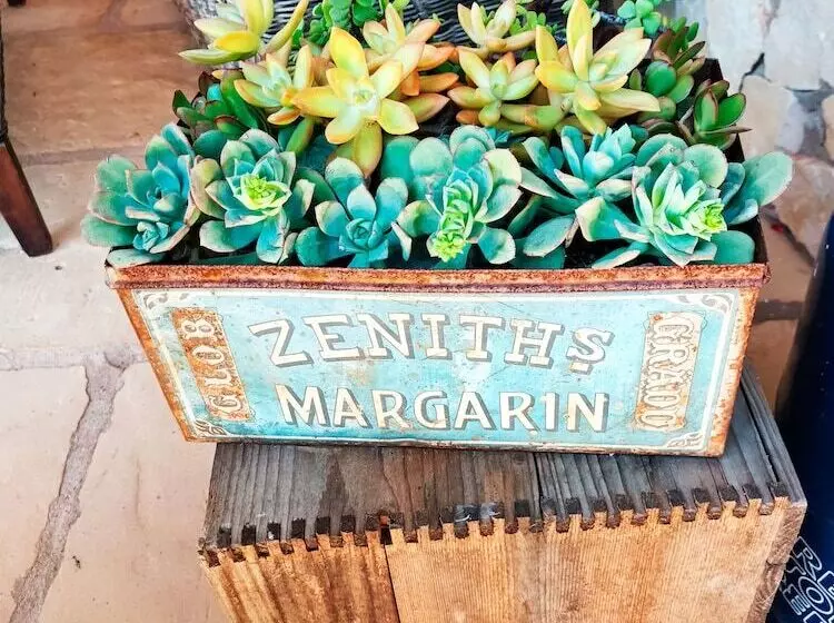 B&b Quinta Da Romãzeira