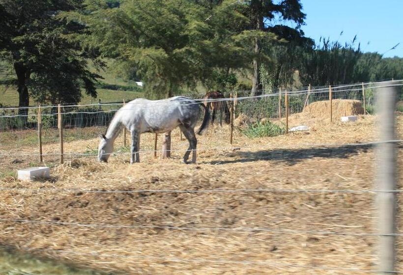 پانسیون Ocean Country Guest House Freiria