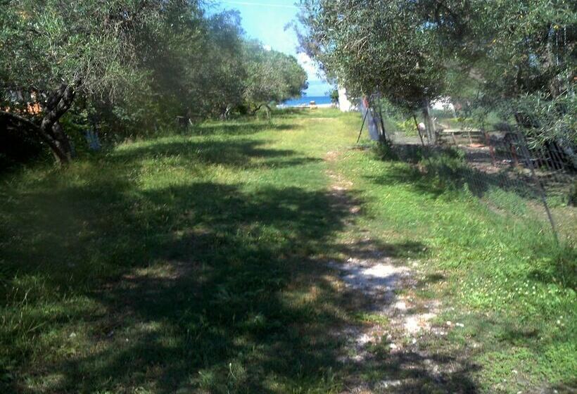 فندق Captains Studios & Apartments