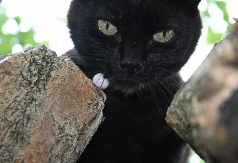 هتل L Unicorno Agriturismo