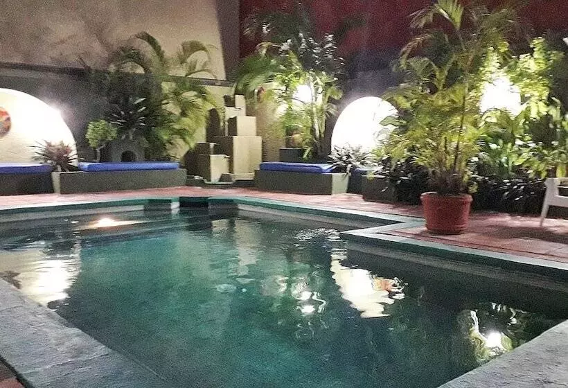 Hotel Solimar Inn Suites