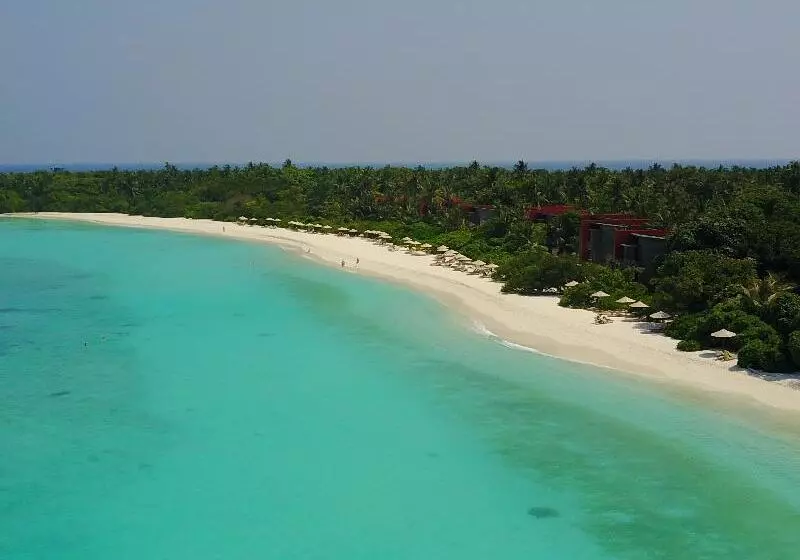 هتل The Barefoot Eco