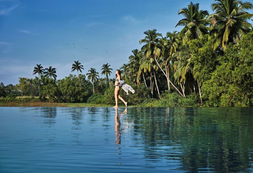 酒店 Diwa Club By Alila A Hyatt Brand