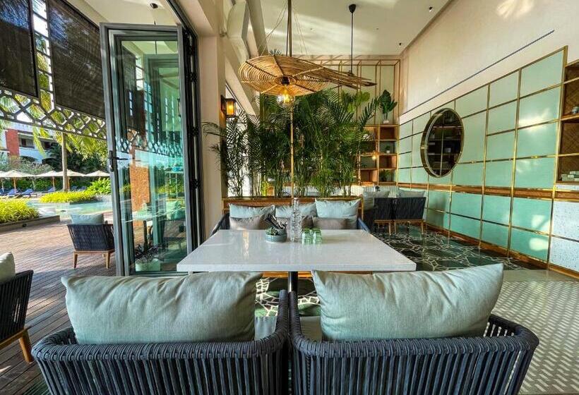 酒店 Diwa Club By Alila A Hyatt Brand