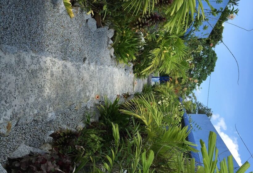 فندق على الطريق The Box Chalet