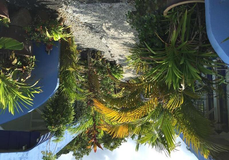 فندق على الطريق The Box Chalet