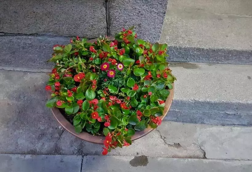 膳宿费 Gongsimga Hanok Guesthouse