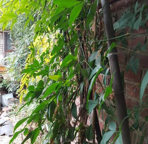 پانسیون Gongsimga Hanok Guesthouse