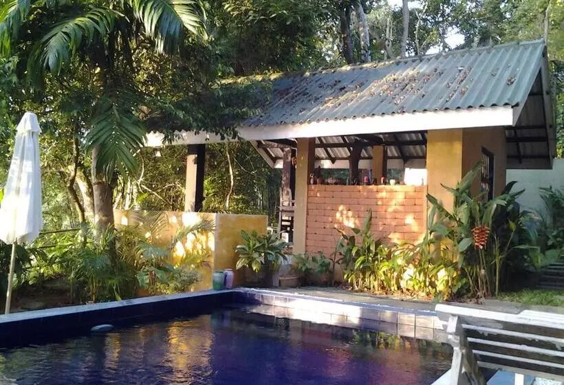 Пансион Randoni Villa