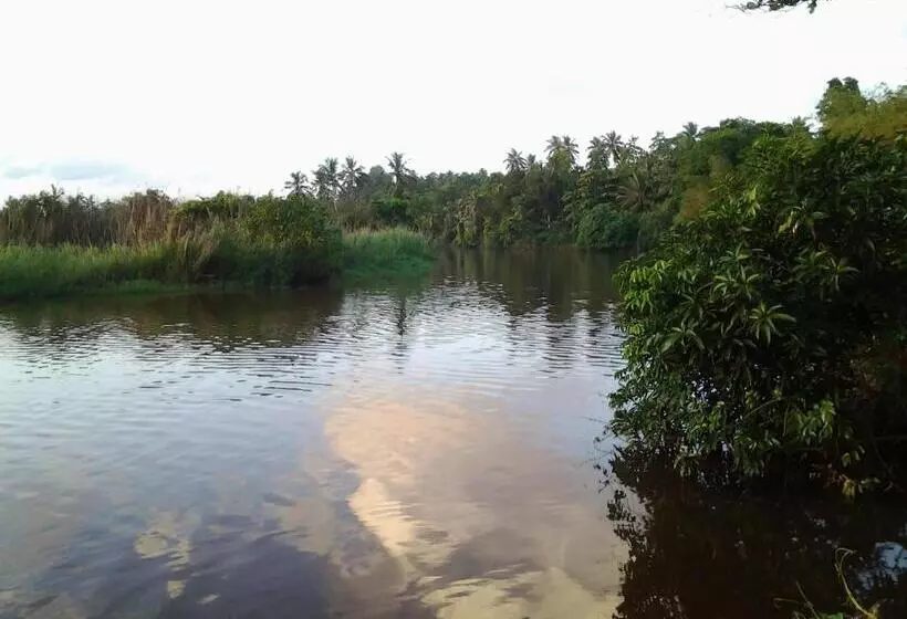 Пансион Randoni Villa