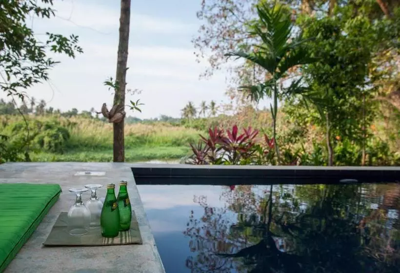 Пансион Randoni Villa