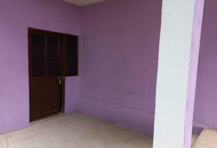 Kapselihotelli Hostal El Bosquecito