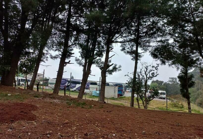 Kapselihotelli Hostal El Bosquecito