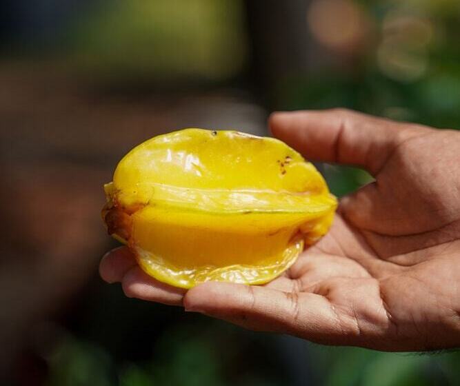 Hotel The Riverstone Agro Farm