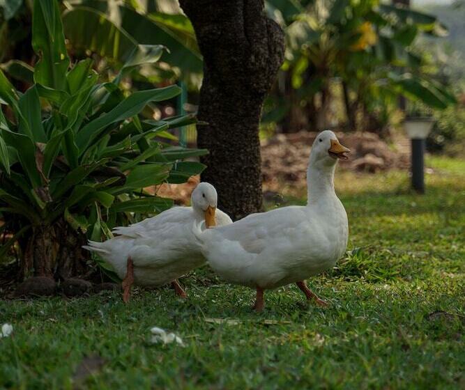 Hotel The Riverstone Agro Farm
