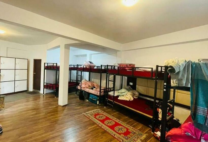 הוסטל Backpackers Den