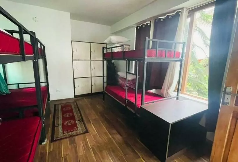 Alberg Backpackers Den