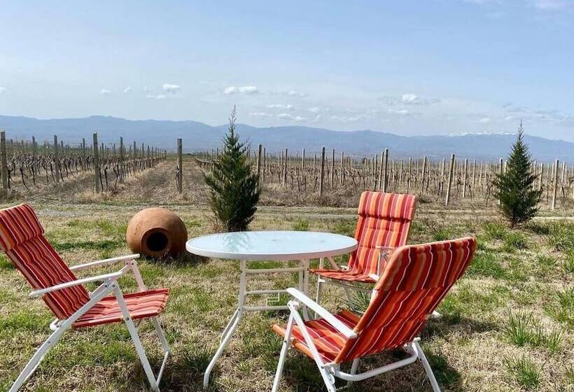 تختخواب و صبحانه Barnavela Hotel Wine Cellar