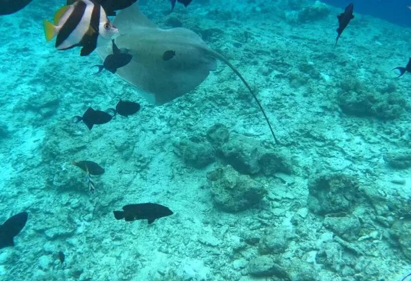 Pensione Ocean Cottage Maldives