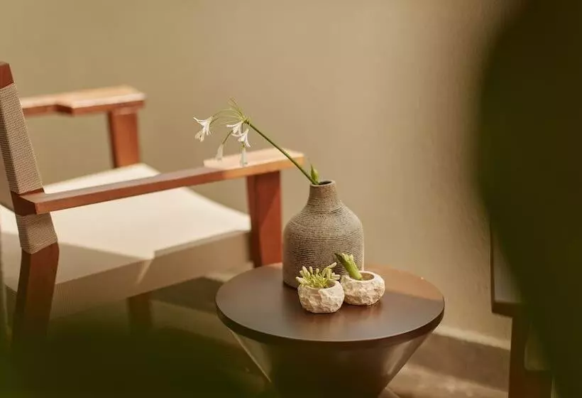 هتل Casa Manor Boutique