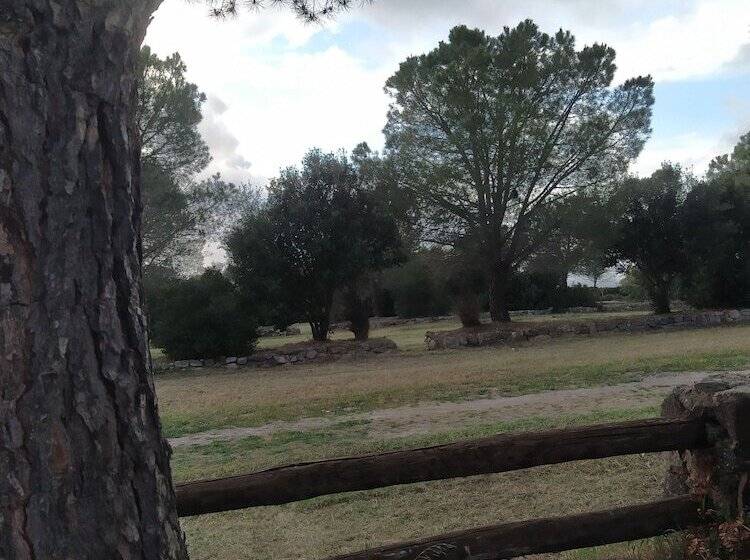 膳宿费 Room In B&b   Note Di Stelle Resort In Marru