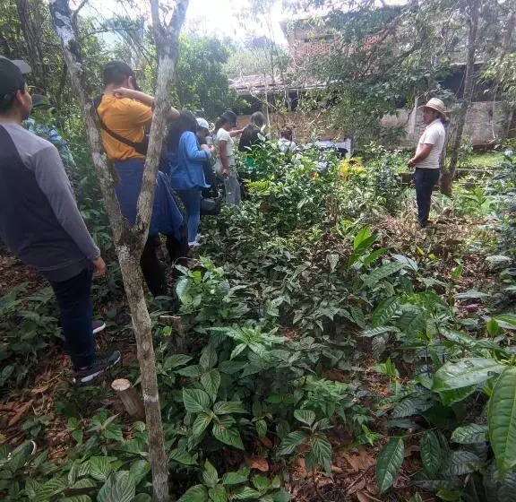 ペンション La Casa De Mamá