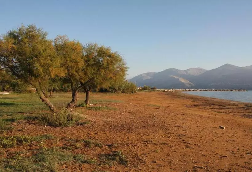 فندق Aura Boutique