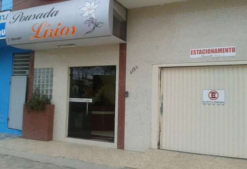 Отель Pousada Lirios