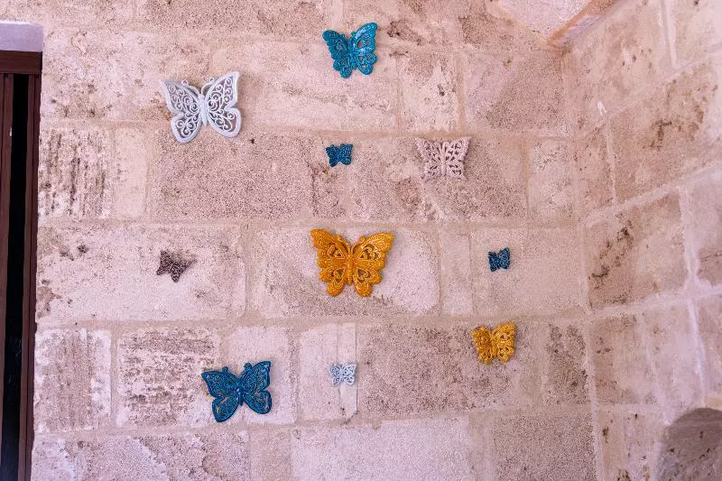 هتل روستایی Masseria Caliani