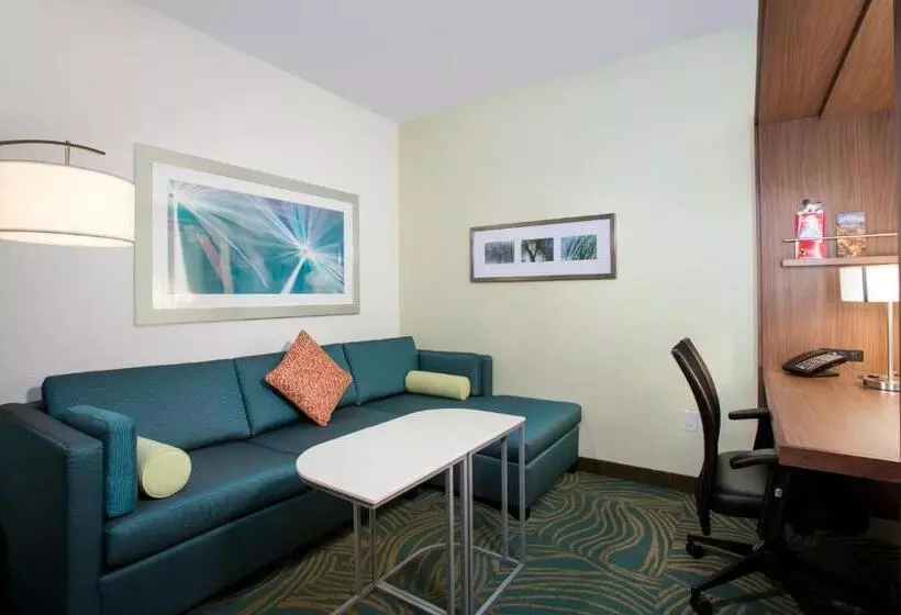 酒店 Springhill Suites By Marriott Orlando At Flamingo Crossings Town Center Western Entrance