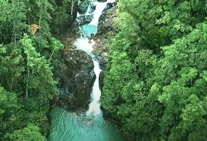 تختخواب و صبحانه Olp Treehouse Cerro Azul