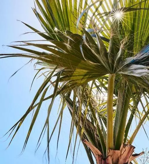 Finca Las Calmas Boutique Hotel & Retreats