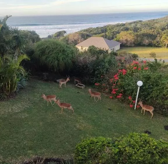 ペンション Cove Rock Stay