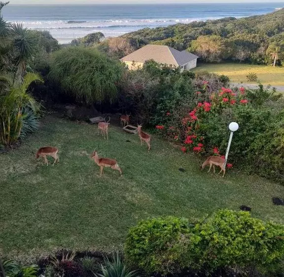 ペンション Cove Rock Stay