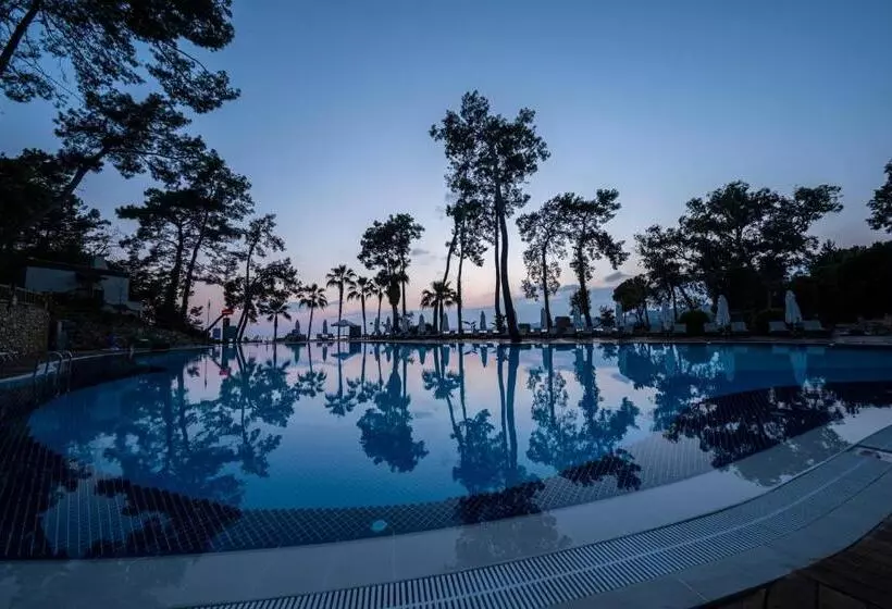 Wome Prime Hotel   Halal All Inclusive