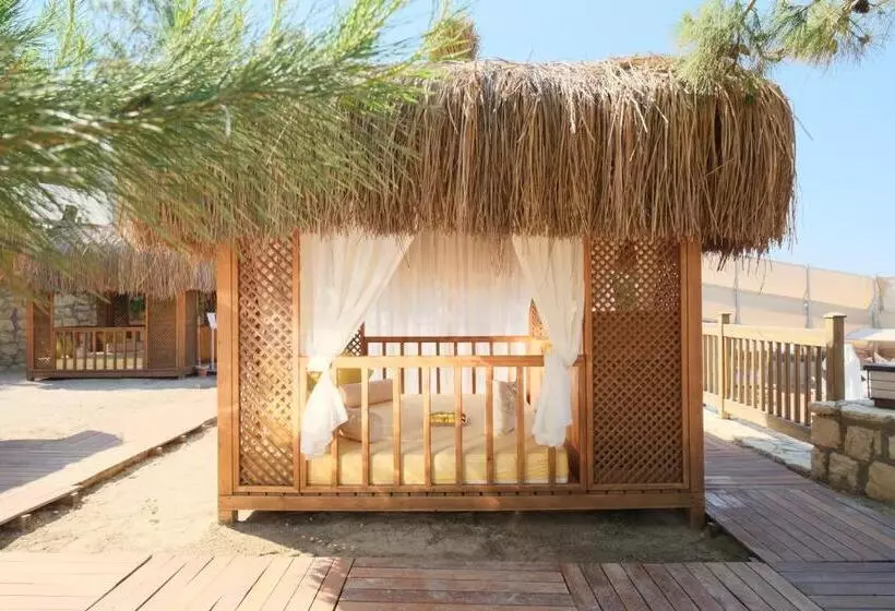 Wome Prime Hotel   Halal All Inclusive