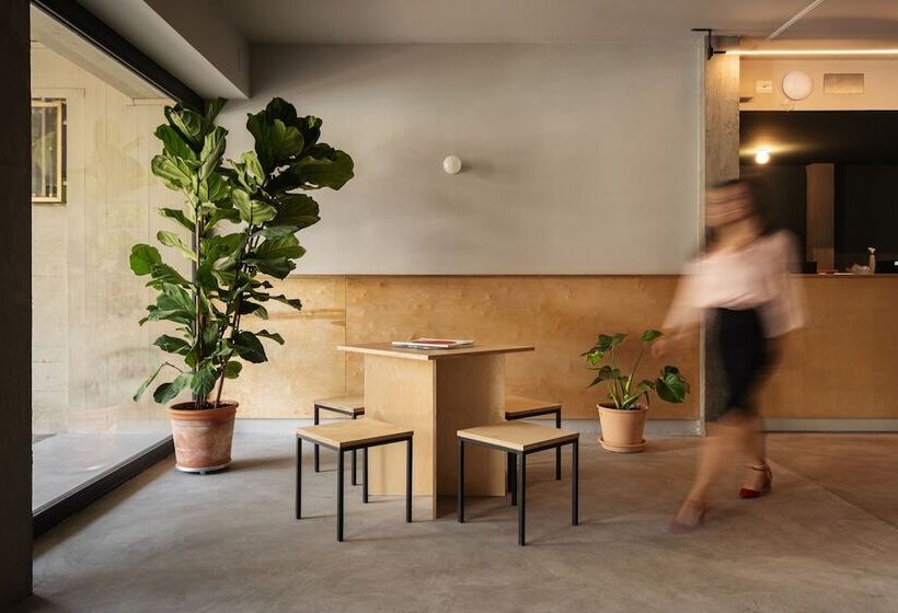 هتل Re Dama Hostel