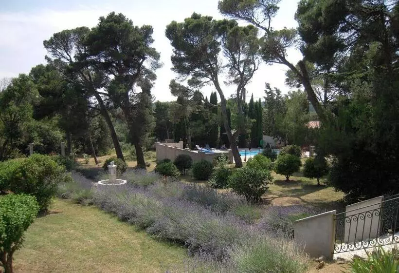 Majatalo Room In Guest Room   Hong Kong Guest Room In The Heart Of The Vineyard