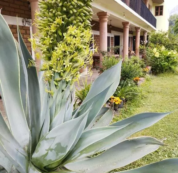 ホテル Calli Sofi Posada