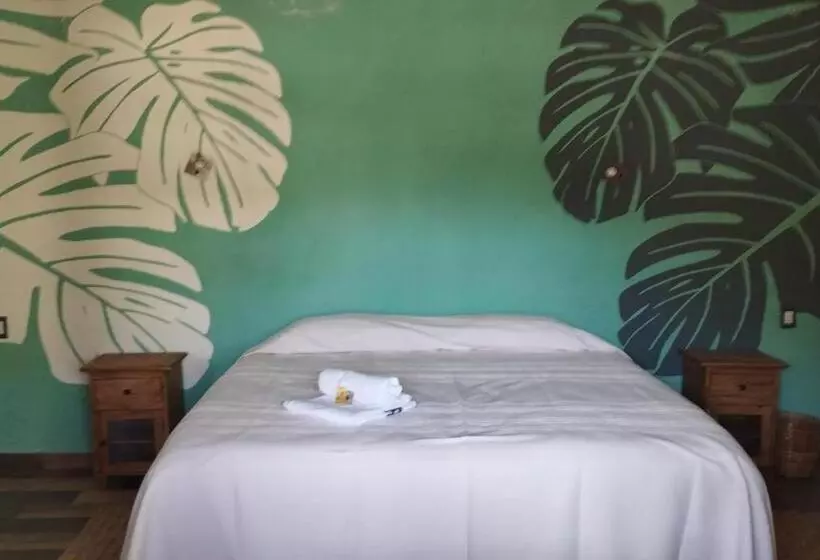 ホテル Calli Sofi Posada