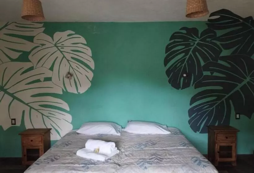 ホテル Calli Sofi Posada