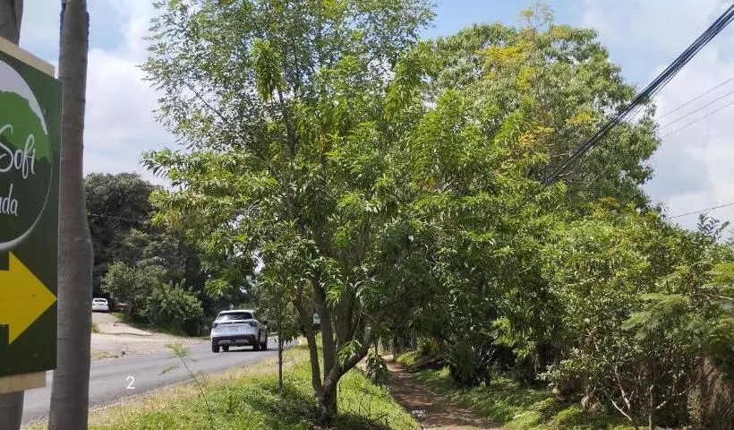 ホテル Calli Sofi Posada