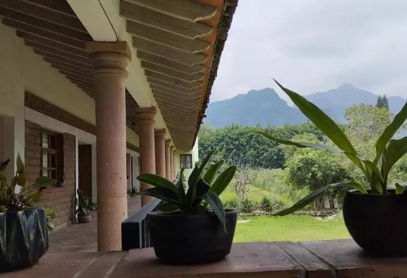 ホテル Calli Sofi Posada