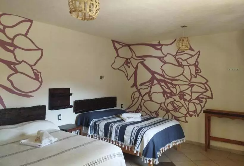 ホテル Calli Sofi Posada