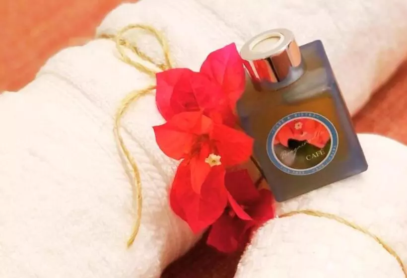 ペンション Refúgio Da Paz