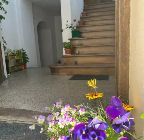 Cisnadie Hostel
